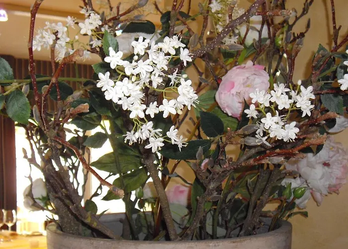 Manoir Kasselslay Hotel