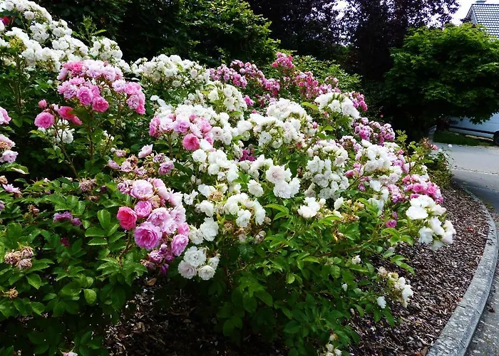 Manoir Kasselslay Hotel Clerf